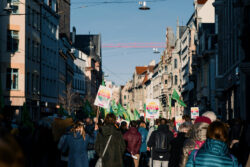 Welche Gefühle lösen die Pläne der Afd zur „Remigration“ in der Bevölkerung aus? Dieser und weiteren Fragen geht die DeZIM-Studie um Prof. Dr. Zajak nach. Abbildung: Tobias, Unsplash