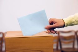 In Ostdeutschland bleibt die AfD stärkste Kraft. Abbildung: Depositphotos, ginasanders