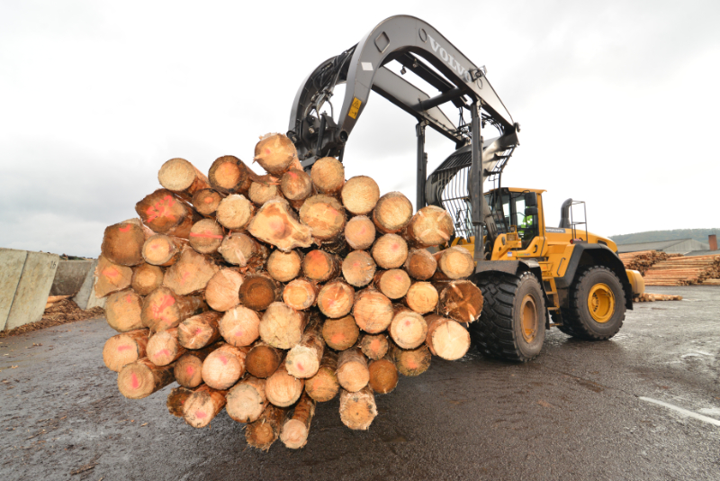 Die Ante-Holz GmbH gehört zu den wichtigsten Unternehmen der Region. Abbildung: IMG