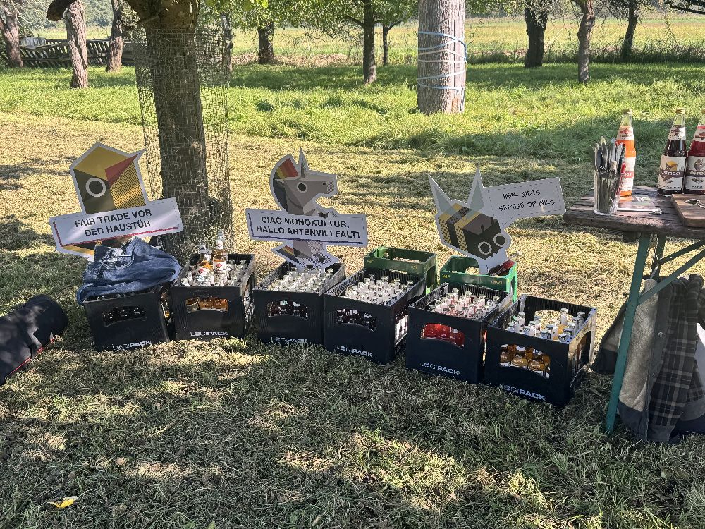 Surrealer Kubismus erregt Aufmerksamkeit. Abbildung: Ostmost