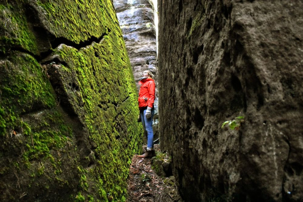 Wanderung um Hohnstein, 2018. Die Sächsische Schweiz ist für mich einer der schönsten Landstriche überhaupt. Abbildung: privat